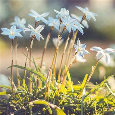 5848vip威尼斯电子游戏手机app下载