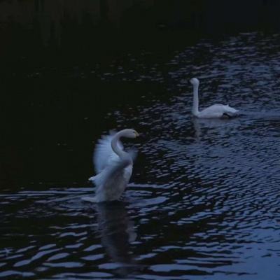 必博体育官方app下载