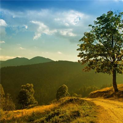 博鱼APP综合体育